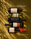 Cata de vinos argentinos - El Enemigo Gourmet | 17 de diciembre de 2026