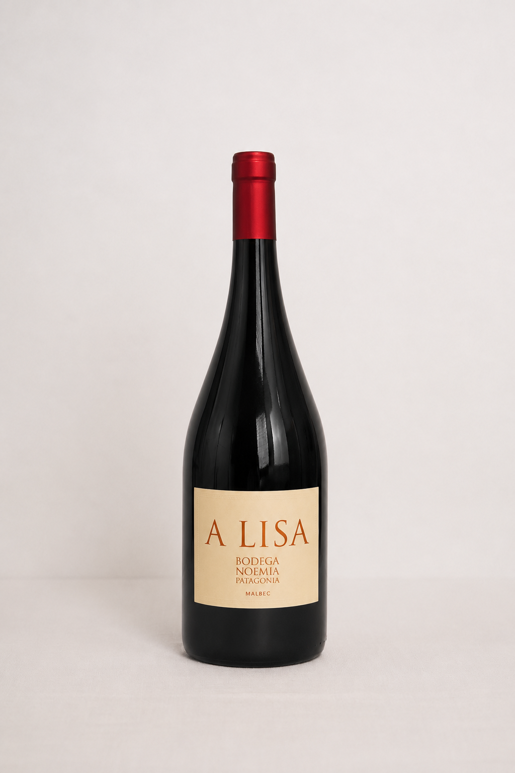 A Lisa Magnum - Bodega Noemía - Malbec