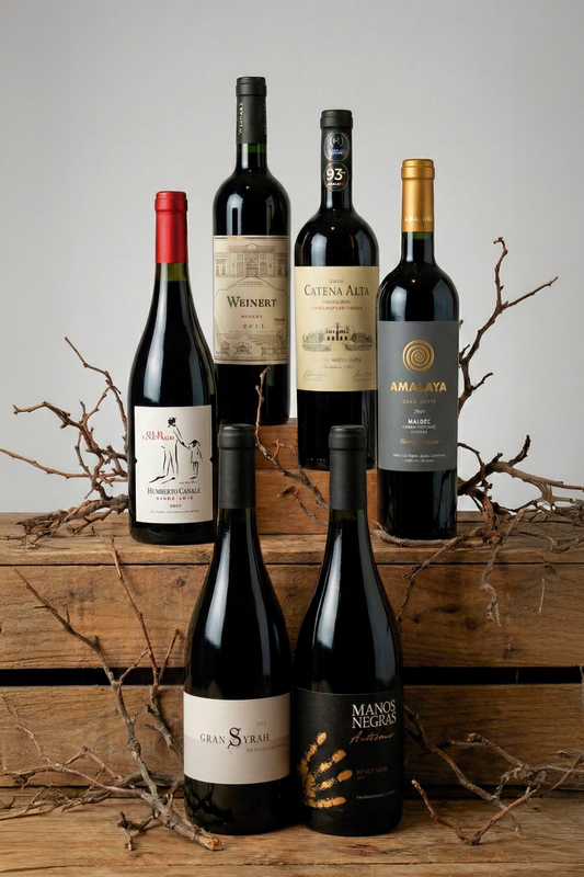 Pack de 6 Vinos - Tintos Gastronómicos