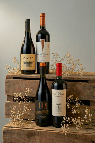 Pack de 4 Vinos -  Malbecs de Norte a Sur
