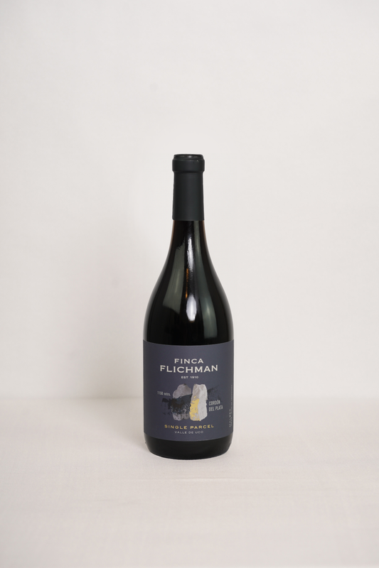 Parcel Cordón del Plata – Finca Flichman - Malbec