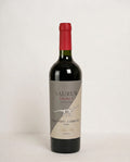 Saurus Select Blend - Bogega Schroeder - Cabernet Cabernet