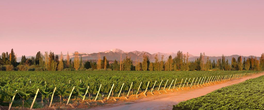 Bodega Finca Flichman